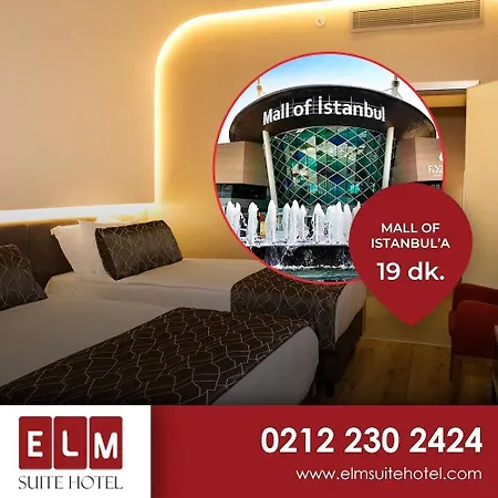 Elm 4*
