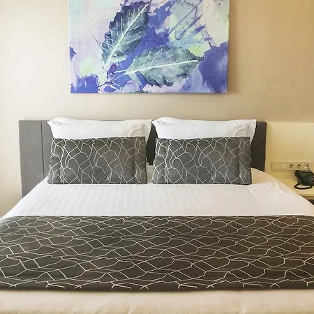 Elm 4* Provincia di Istanbul